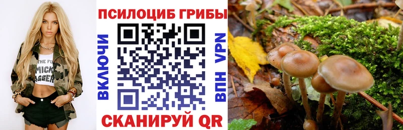 Купить закладки  Новоалтайск  Галлюциногенные грибы Psilocybine cubensis 