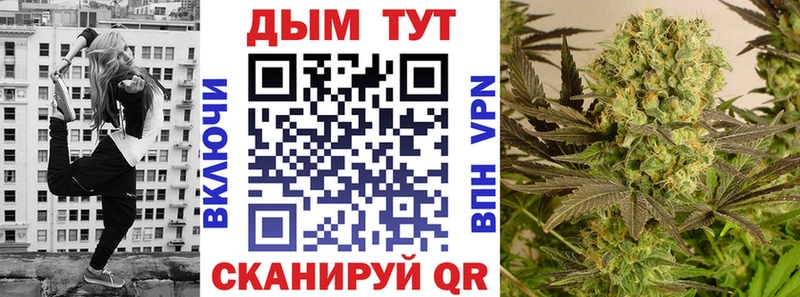 Бошки Шишки SATIVA & INDICA Купить закладки Новоалтайск